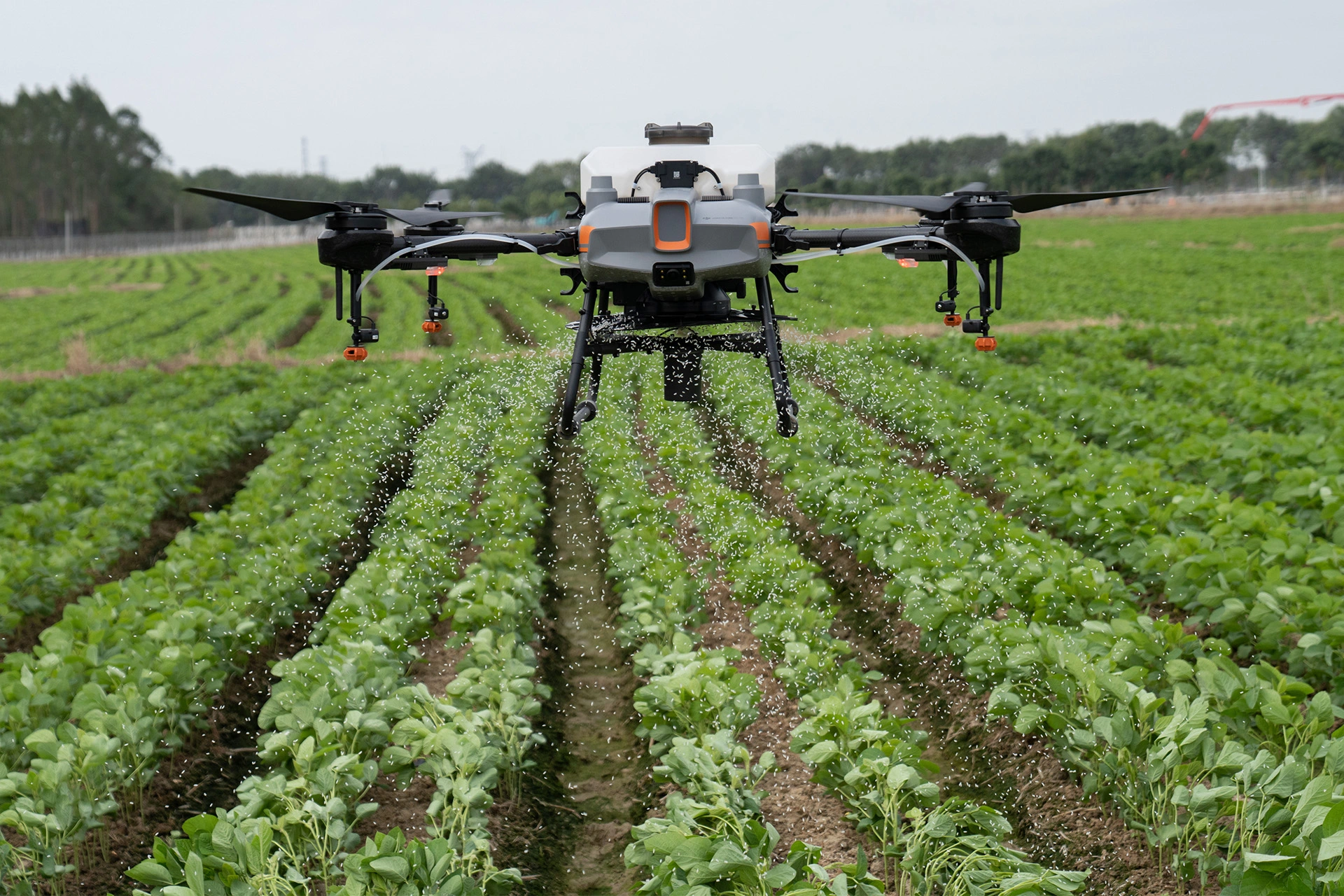 Drone